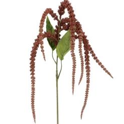 Blush Amaranthus Stem by Ashland®