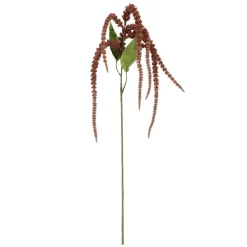 Blush Amaranthus Stem by Ashland®