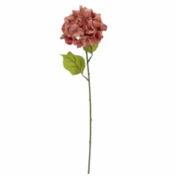 Blush Hydrangea Stem by Ashland®