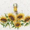 Bothy Threads Sunshine Counted Cross Stitch Kit