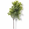 11" Boxwood Pick by Ashland®