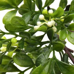 11" Boxwood Pick by Ashland®