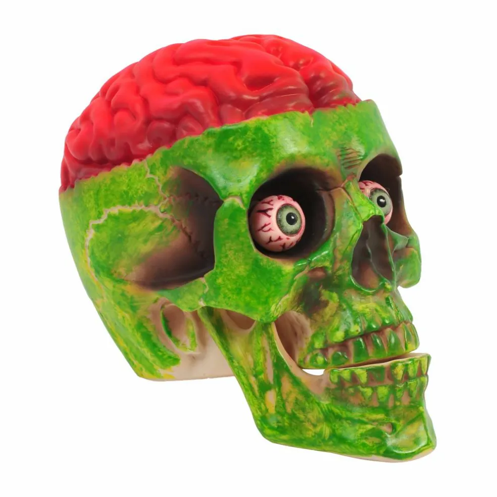 8" Brainy Skull by Ashland®