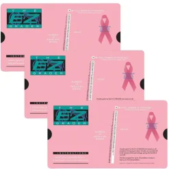 Breast Cancer Pink E-Z Grader, Pack of 3
