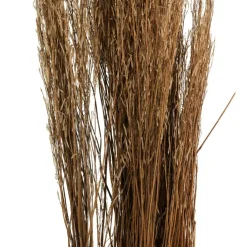 42" Brown Dried Natural Mustard Plant Foliage