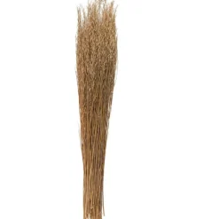 42