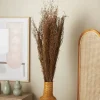 45" Brown Dried Natural Pampas Grass Foliage
