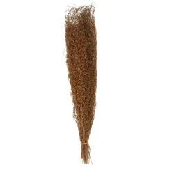 45" Brown Dried Natural Pampas Grass Foliage