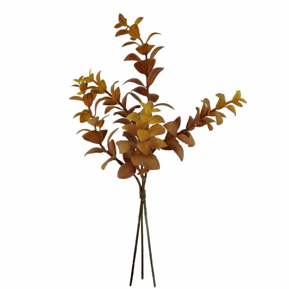 12" Brown Eucalyptus Bundle by Ashland®