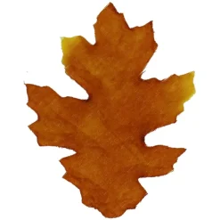 Brown, Orange & Yellow Maple Leaves by Ashland®