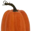 9" Burnt Orange Decorative Pumpkin by Ashland®