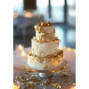Cake Craft Gold Metallic Flakes