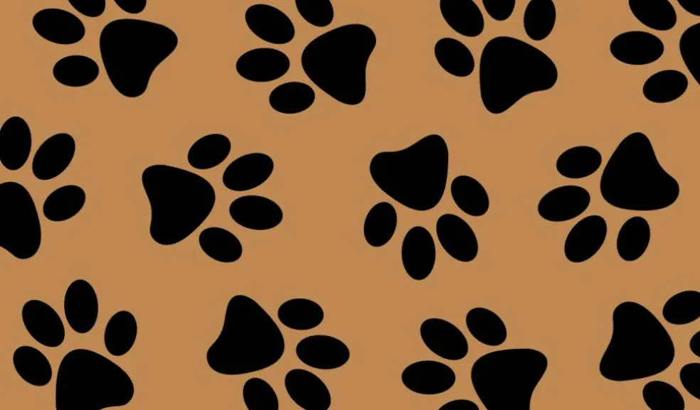 Calloway Mills Black Paw Print Doormat