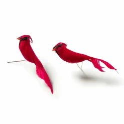Cardinal Birds by Ashland®