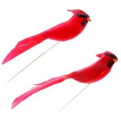 Cardinal Birds by Ashland®