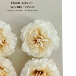 Carnation Floral Accents, 4ct. by Ashland®