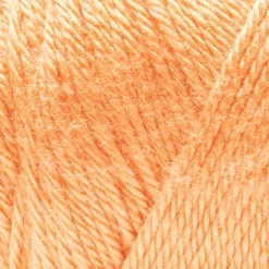 Caron® Simply Soft® Solid Yarn