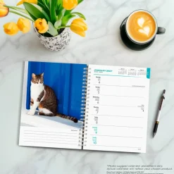 Cat Lovers | 2027 6 x 7.75 Inch Spiral-Bound Wire-O Weekly Engagement Planner Calendar | New Full-Color Image Every Week