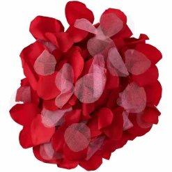 Celebrate It™ Occasions™ Decorative Rose Petals