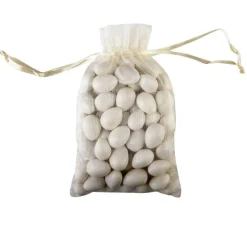 Celebrate It™ Occasions™ Organza Favor Bag, Large