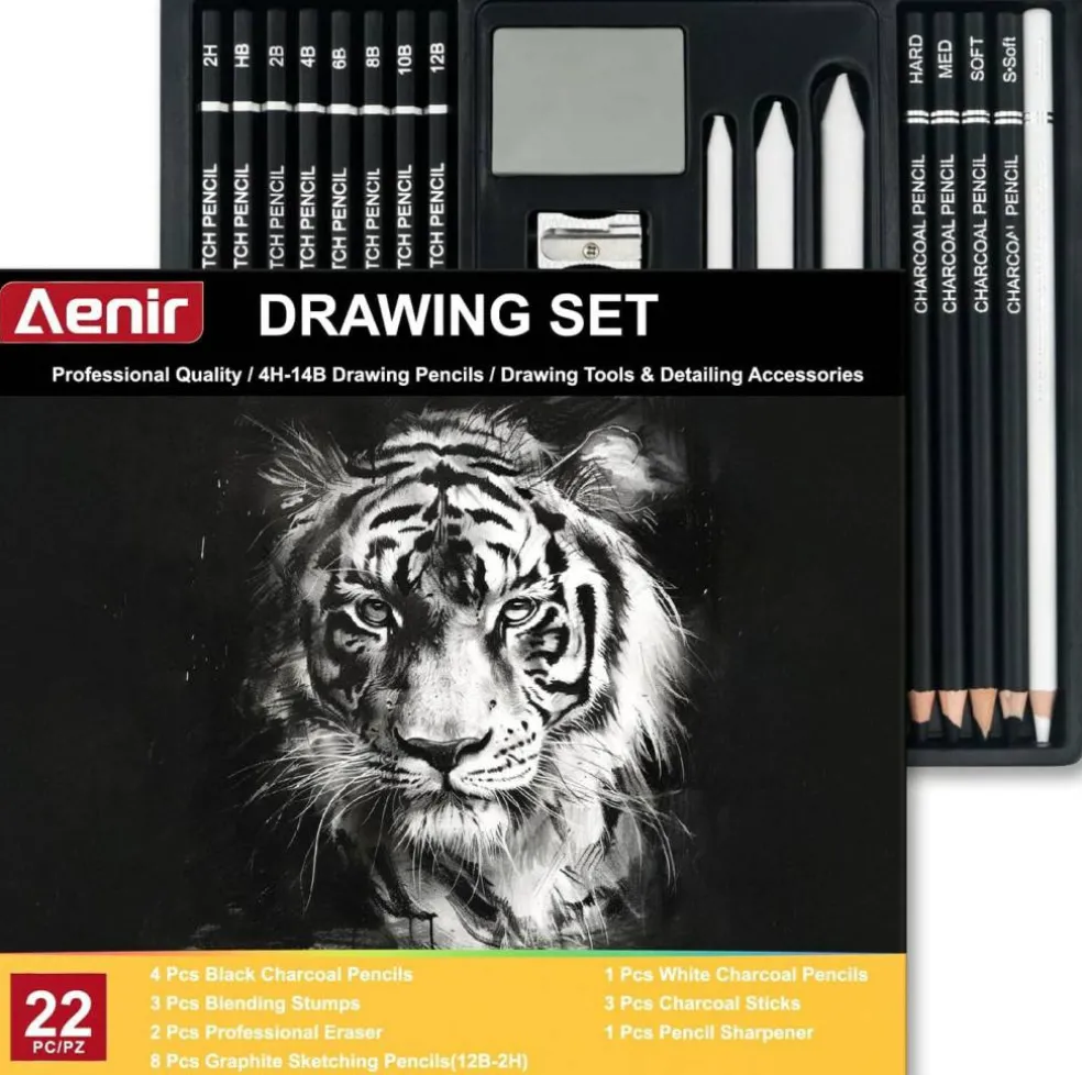Charcoal Pencils for Drawing, Set of 22