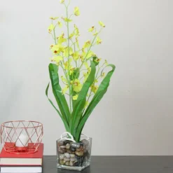 Chartreuse Green Potted Blooming Orchid Plant