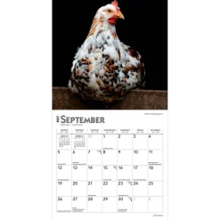 Chickens | 2027 7 x 14 Inch (Hanging) Monthly Mini Wall Calendar