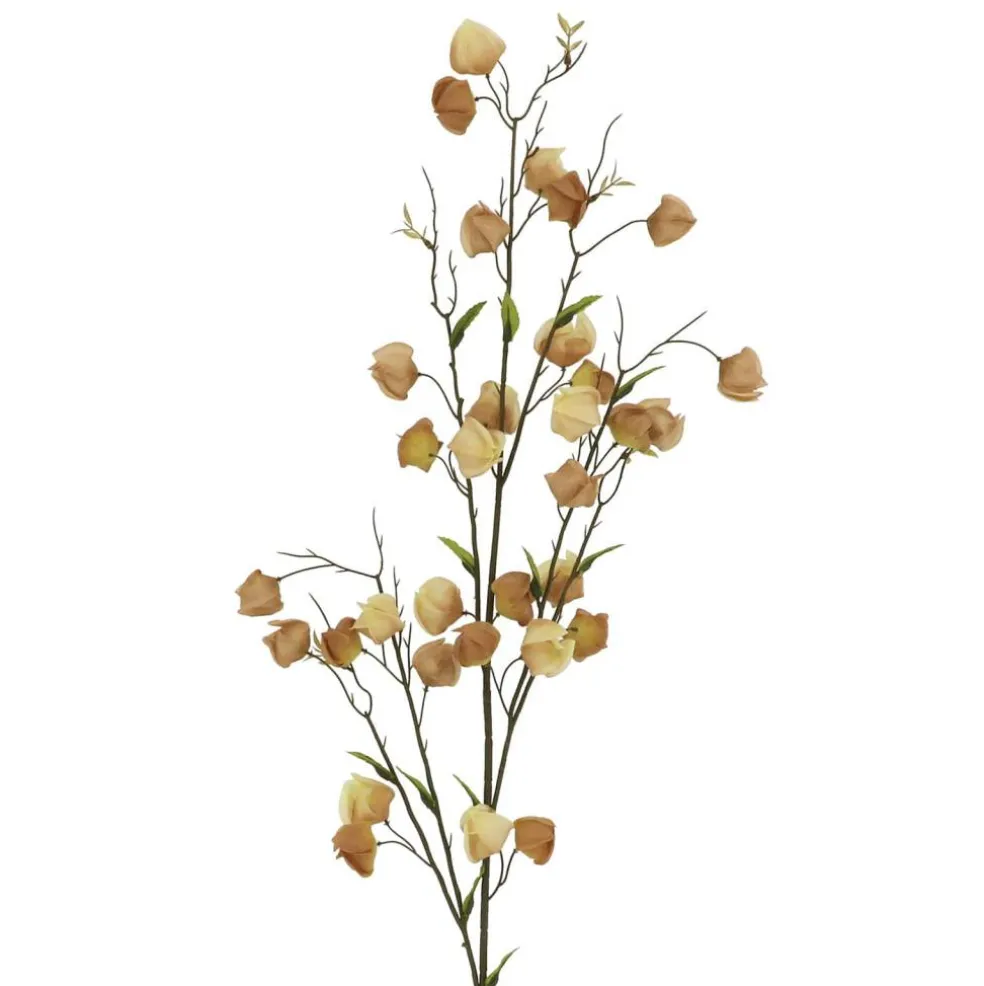41" Chinese Lantern Stem by Ashland®