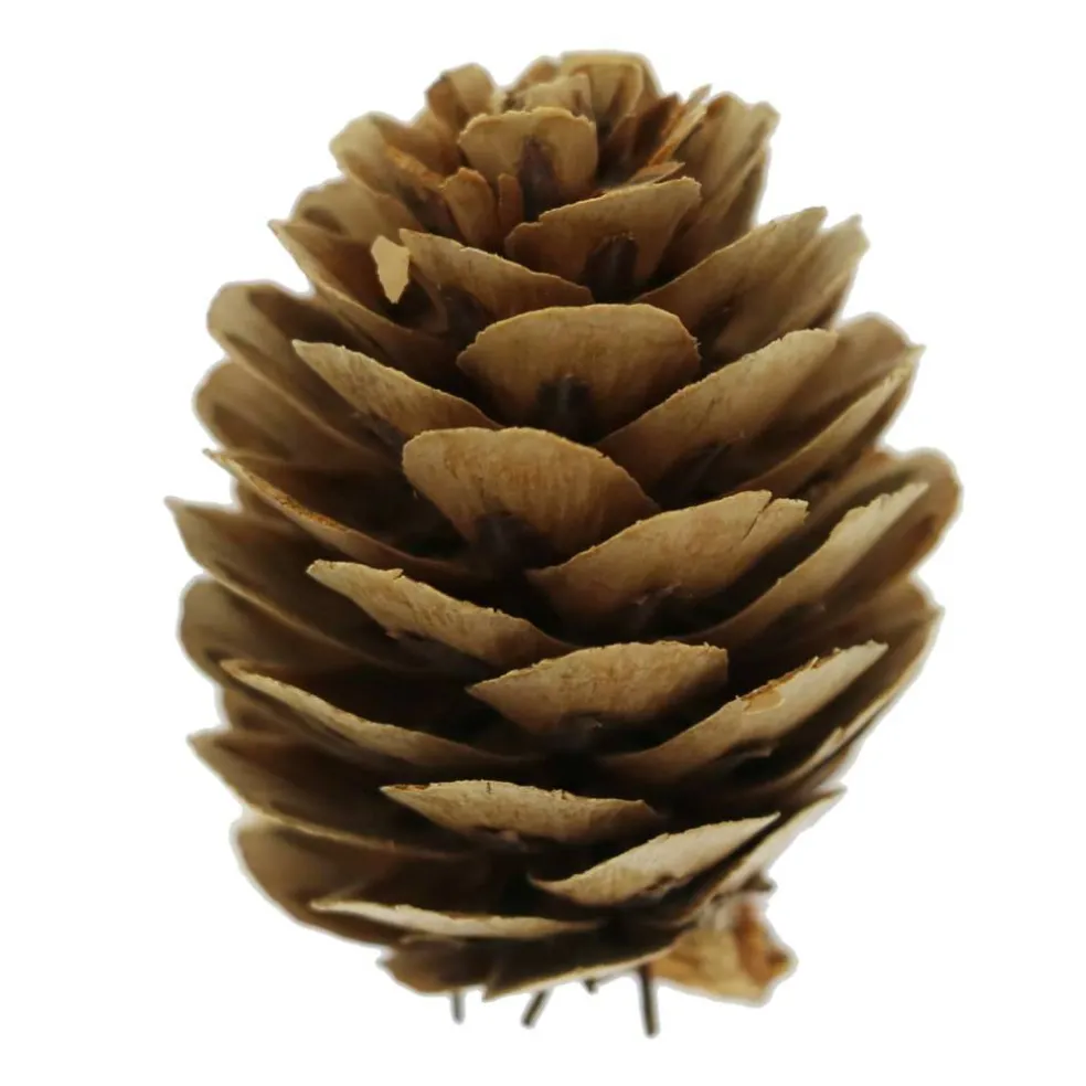 Classic Pinecone, Pumpkin, Berry & Maple Leaves Decorative Components by Ashland®