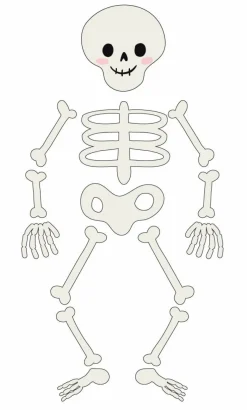 Class Rules! Large Skeleton Die-Cut Classroom Accent Set by B2C™