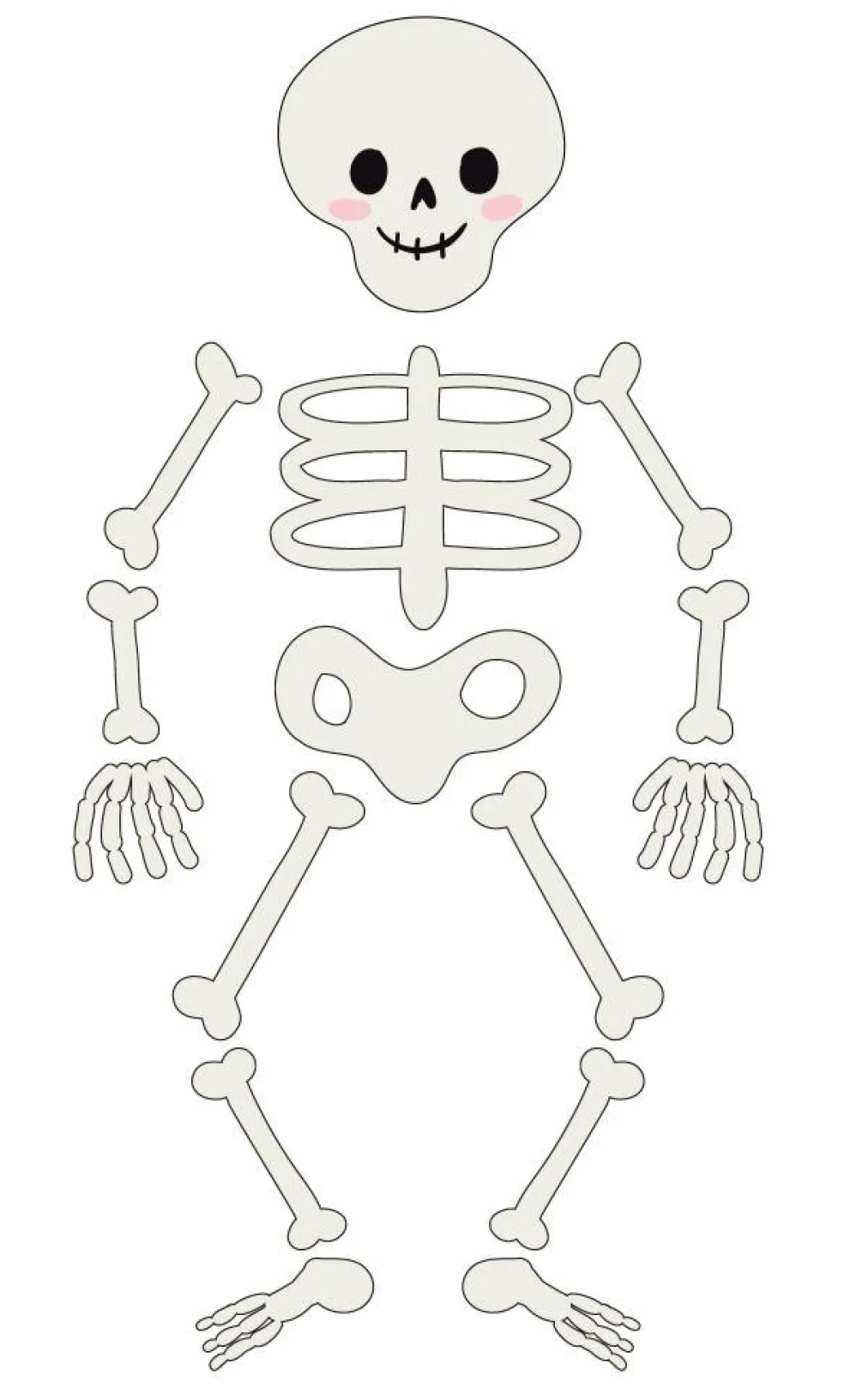 Class Rules! Large Skeleton Die-Cut Classroom Accent Set by B2C™