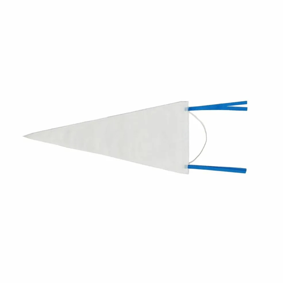 Class Rules! 20.75" Wall Pennant by B2C™
