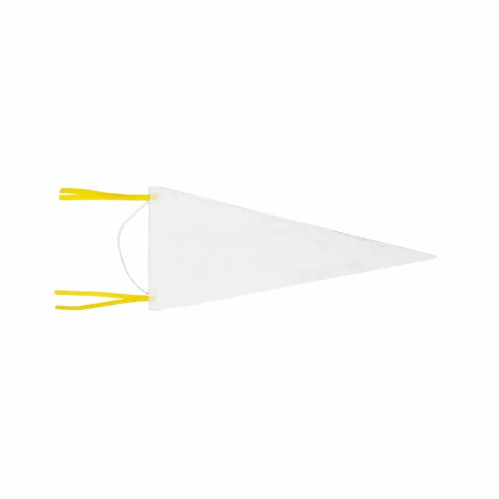 Class Rules! 20.75" Wall Pennant by B2C™