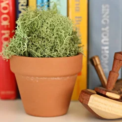 Clay Pot by Ashland®