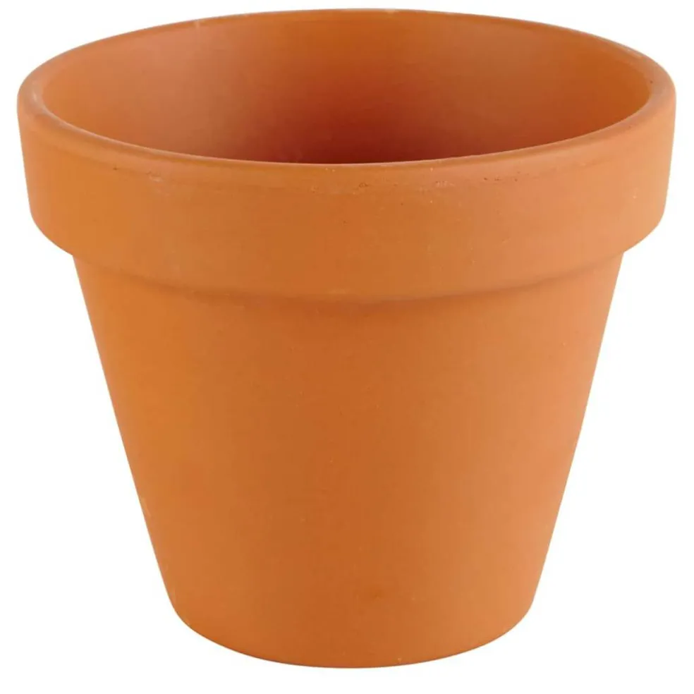 Clay Pot by Ashland®