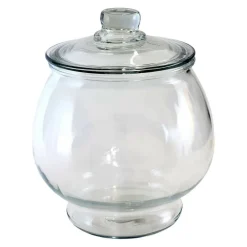 9" Clear Glass Terrarium by Ashland®