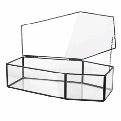 Clear Glass Terrarium Coffin with Lid by Ashland®