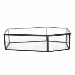 Clear Glass Terrarium Coffin with Lid by Ashland®