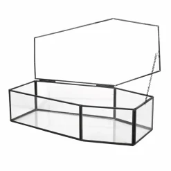 Clear Glass Terrarium Coffin with Lid by Ashland®