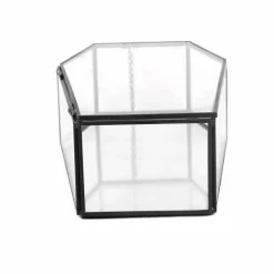 Clear Glass Terrarium Coffin with Lid by Ashland®
