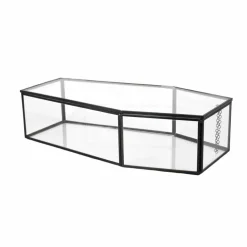 Clear Glass Terrarium Coffin with Lid by Ashland®