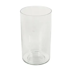 12" Clear Glass Wide Minimalistic Glass Vase