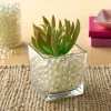Clear Luster Mini Marble Decorative Filler by Ashland®