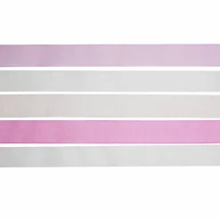 5 Color Sheer Value Pack Ribbon by Celebrate It®