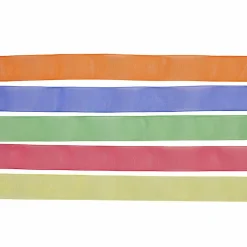 5 Color Sheer Value Pack Ribbon by Celebrate It®