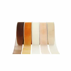 5 Color Sheer Value Pack Ribbon by Celebrate It®