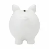 Color Your Own Ceramic Piggy Bank by Creatology™