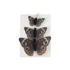 Common Buckeye Butterfly Accents, 3ct. by Ashland®