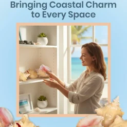 Conch Shell Large Sea Shells Garden Quality 5 to 6 inches Conch Sea Shell Large Conch Shell Décor