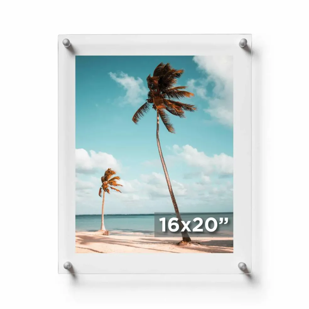 Cool Modern Frames Clear Acrylic Float Frame with Silver Hardware